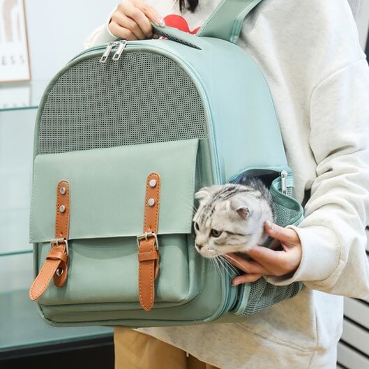 شنطة قطط لون اخضر